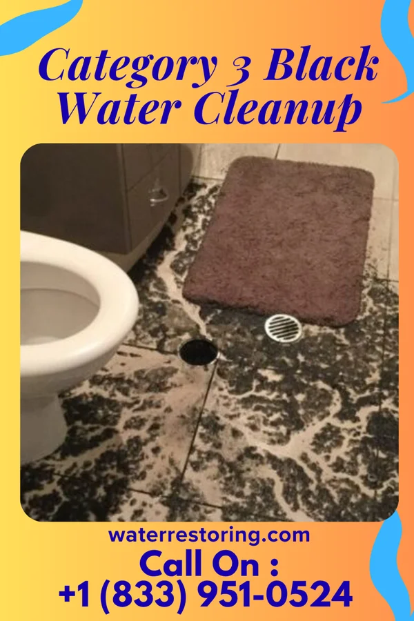Category 3 Black Water Cleanup in Joiner, AR